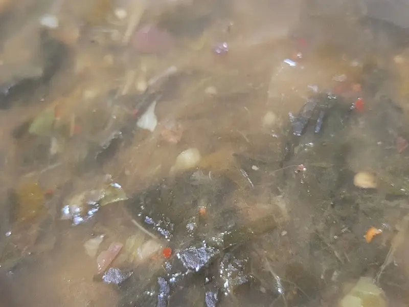 구수하고 시원한 시래기 된장국