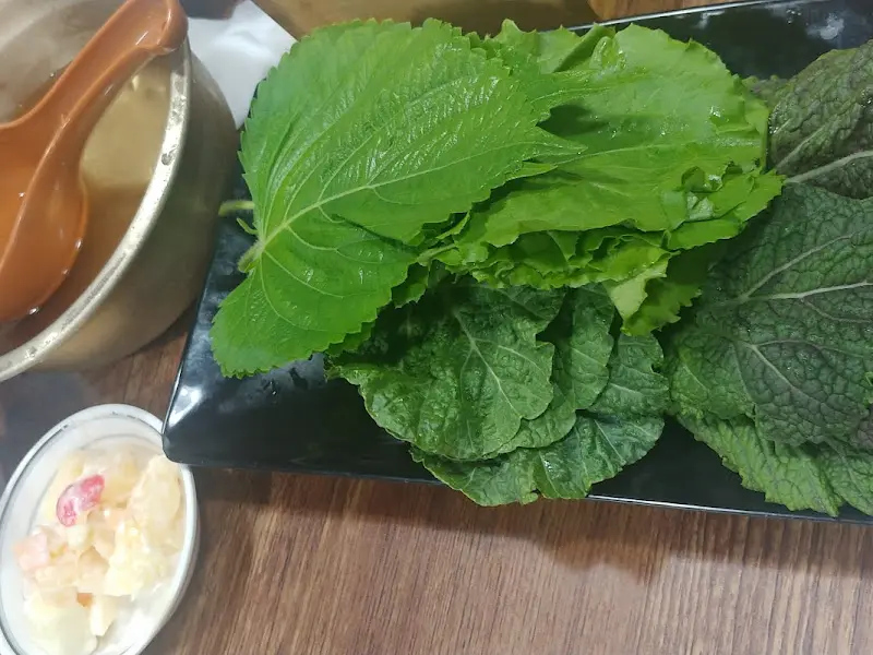 싱싱한 쌈 채소 클로즈업