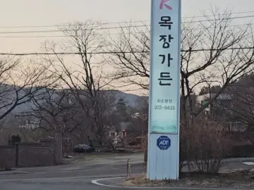 굽네치킨과는 차원이 다른 화순 숯불 맛집, 오케이목장가든에서 즐기는 닭 본연의 풍미