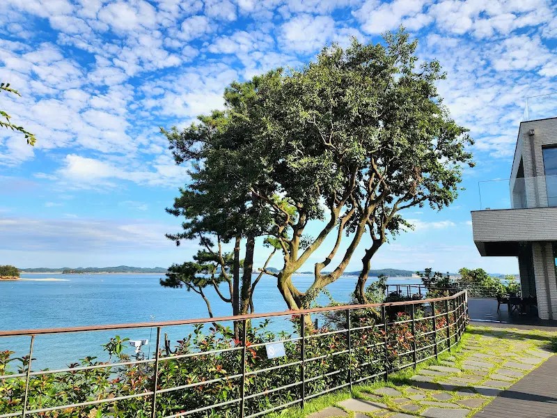 카페 앞 정원의 모습