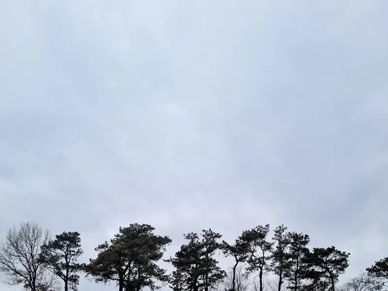 함안 뜬 카페 주변 나무