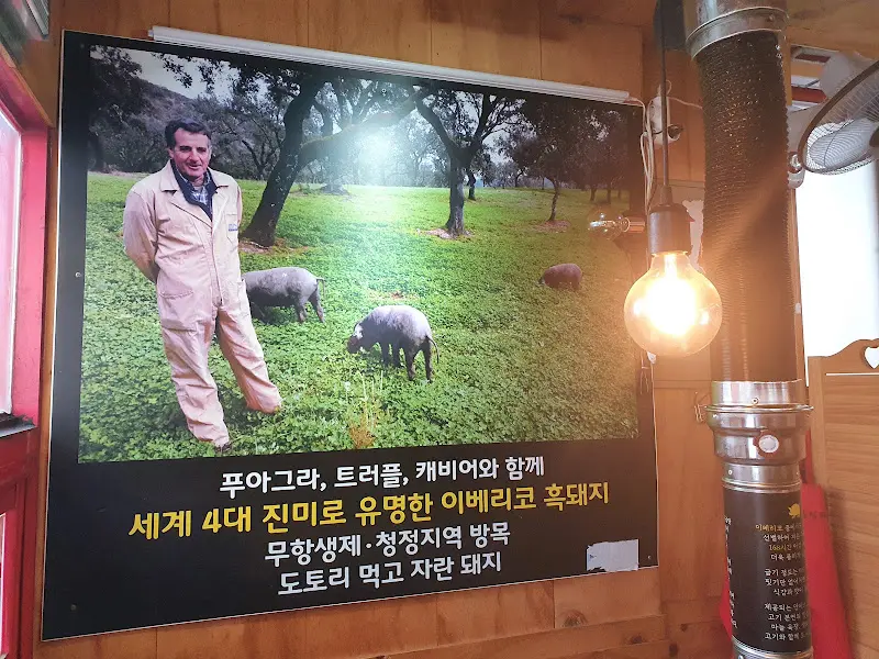 이베리코 흑돼지 설명