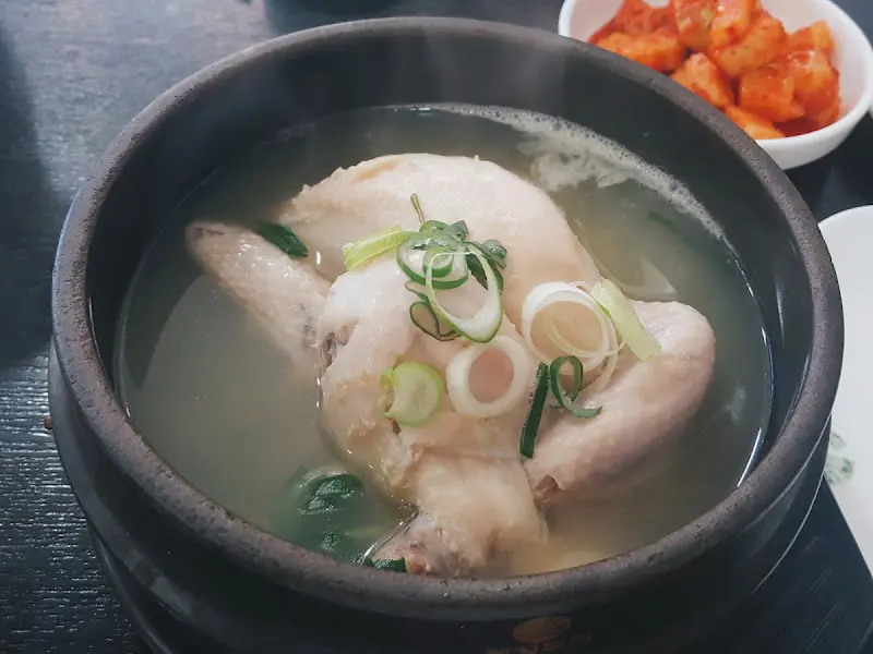 신촌 영양센터 삼계탕