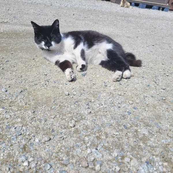 만두마당 주변 풍경