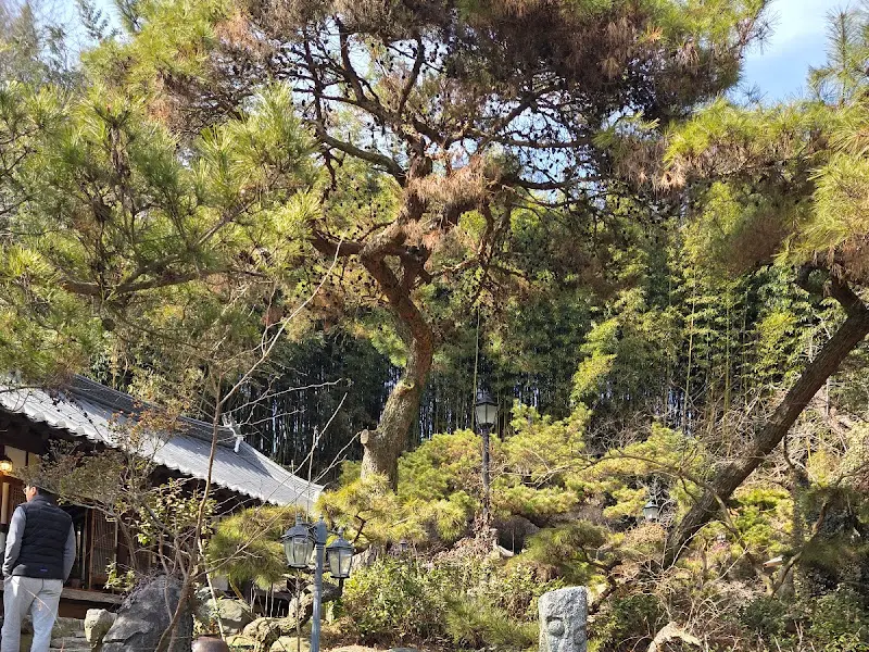 춘운서옥 외부 정원