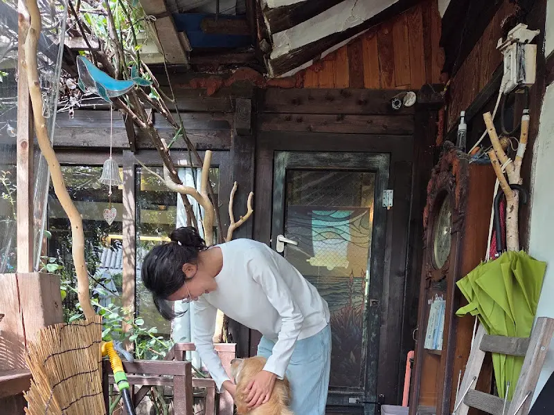 카페 마스코트 리트리버 고원이