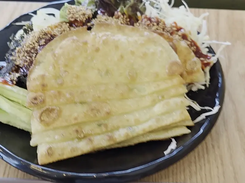 겉바속촉 튀김만두