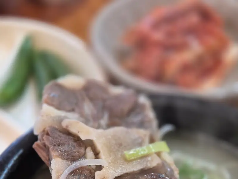 커다란 꼬리뼈가 들어간 꼬리곰탕