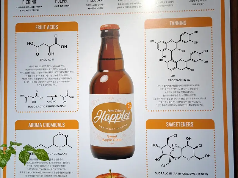 애플 사이더 설명