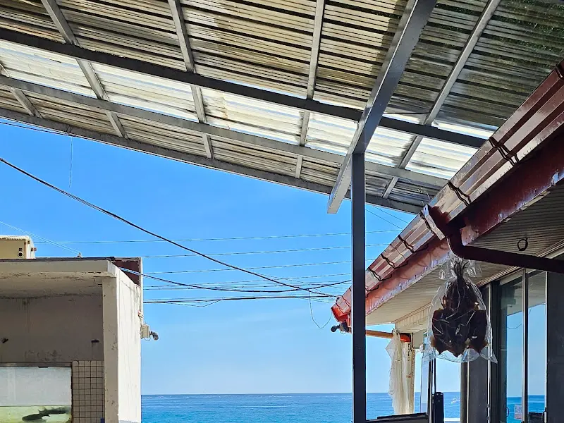 탁 트인 바다 뷰