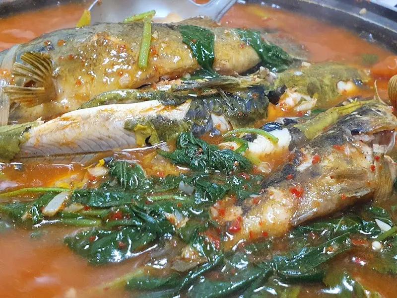 메기매운탕 근접샷