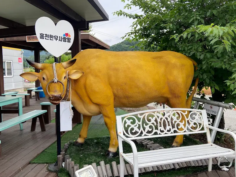 홍천 한우 사랑