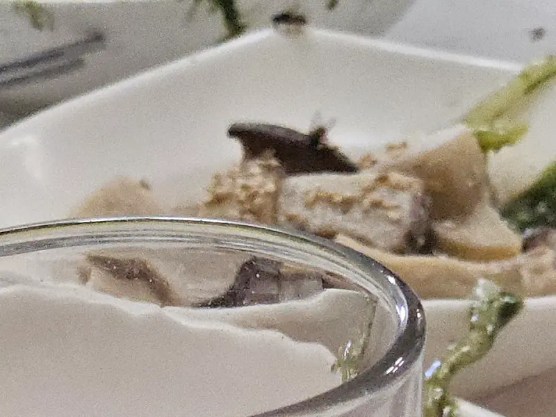 진도백기 밑반찬 클로즈업