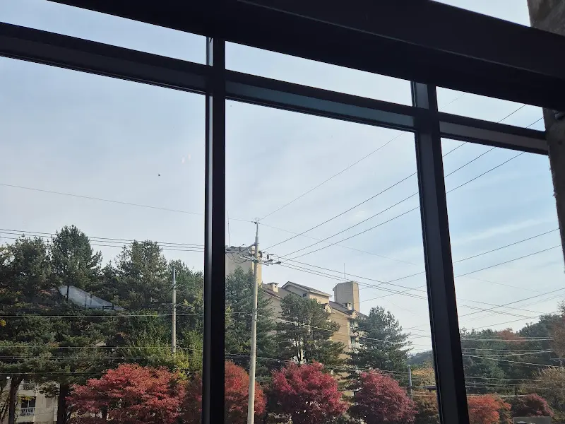 통창으로 보이는 풍경