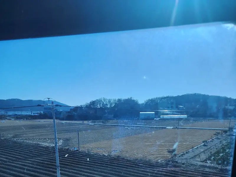 식당 창밖 풍경