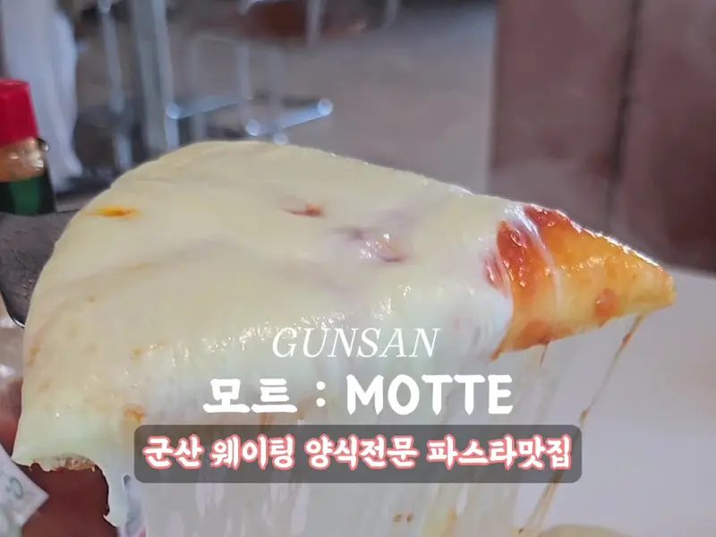 모트 피자 단면