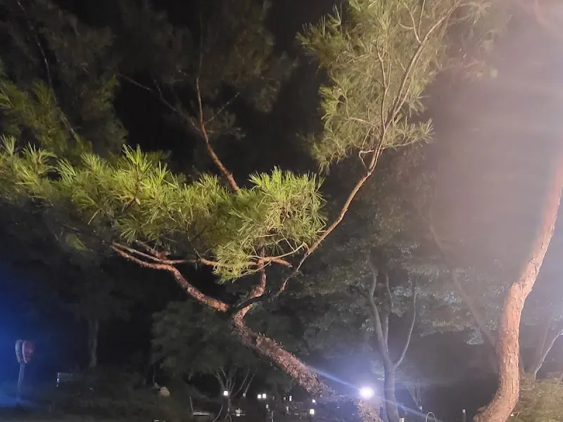 맛난다갈비 주변 야경