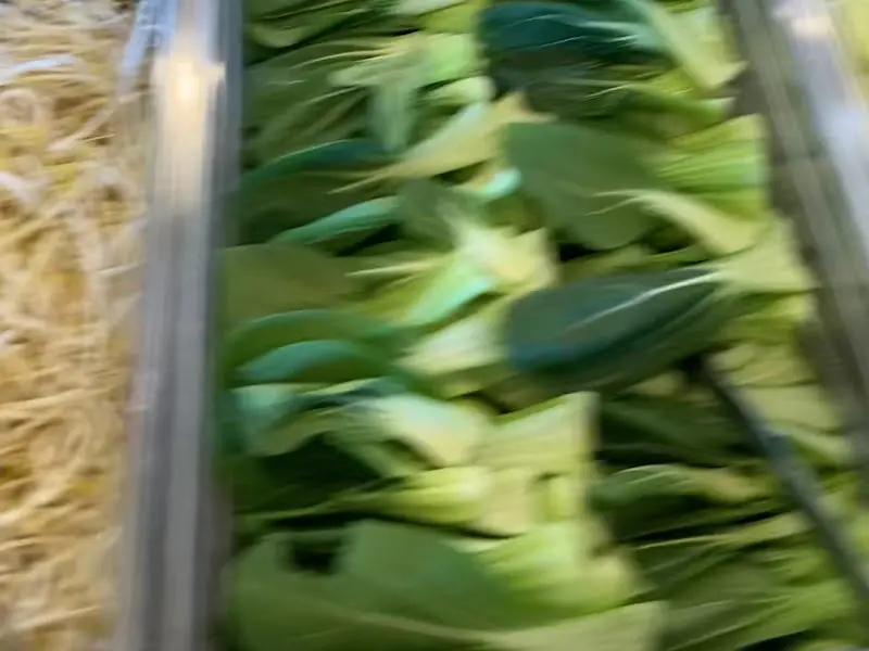 샐러드바에 놓인 신선한 채소들