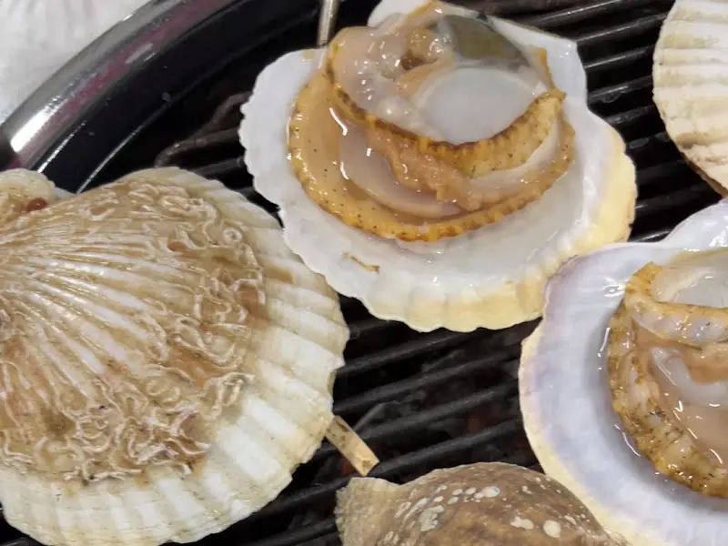 잘 익은 가리비