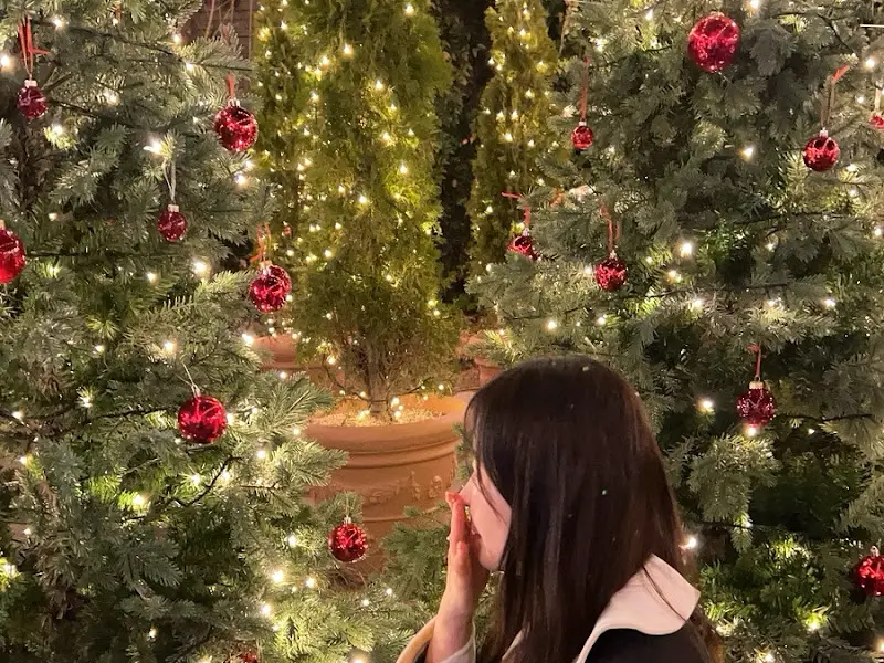 크리스마스 트리