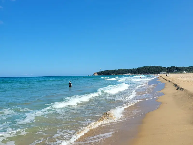 양양 서피비치 해변