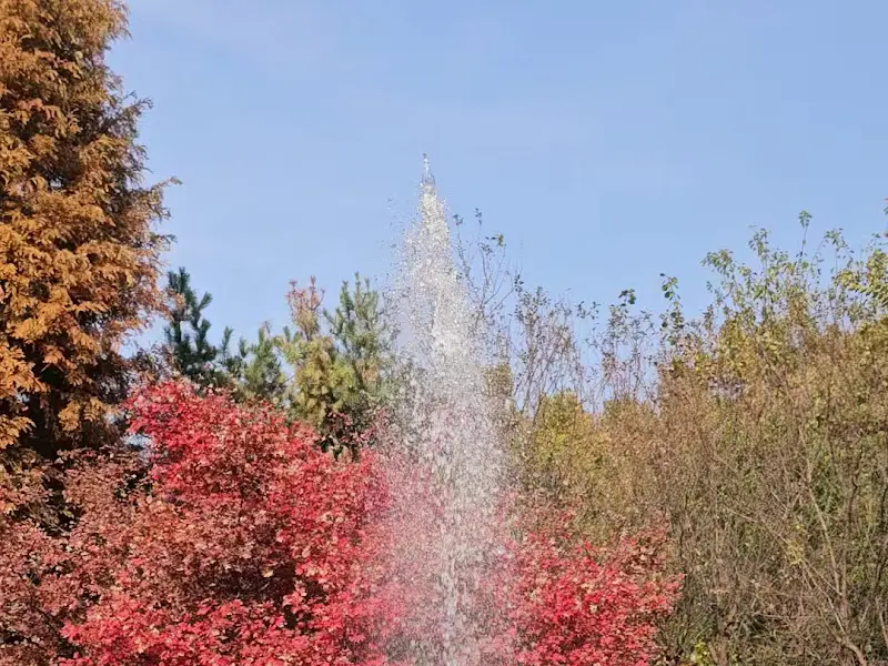 꽃누리들밥 외부 정원의 분수