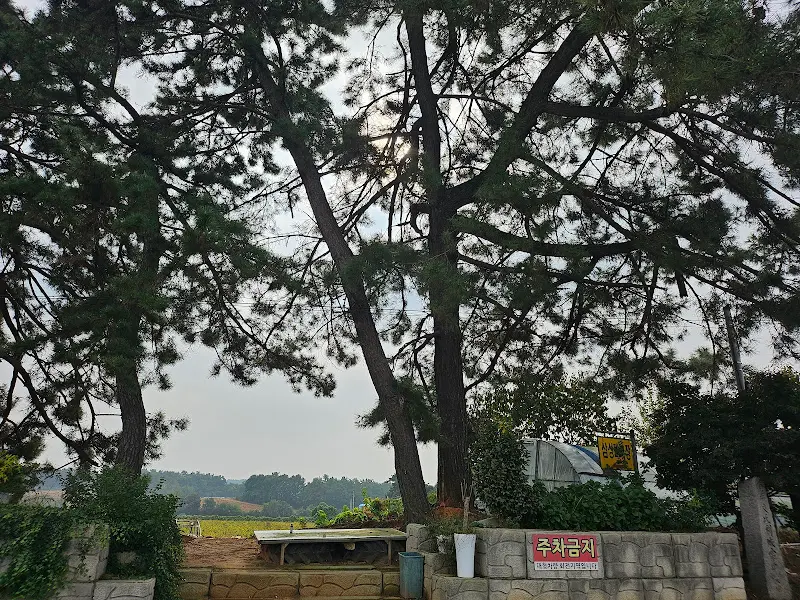 식당 주변 풍경