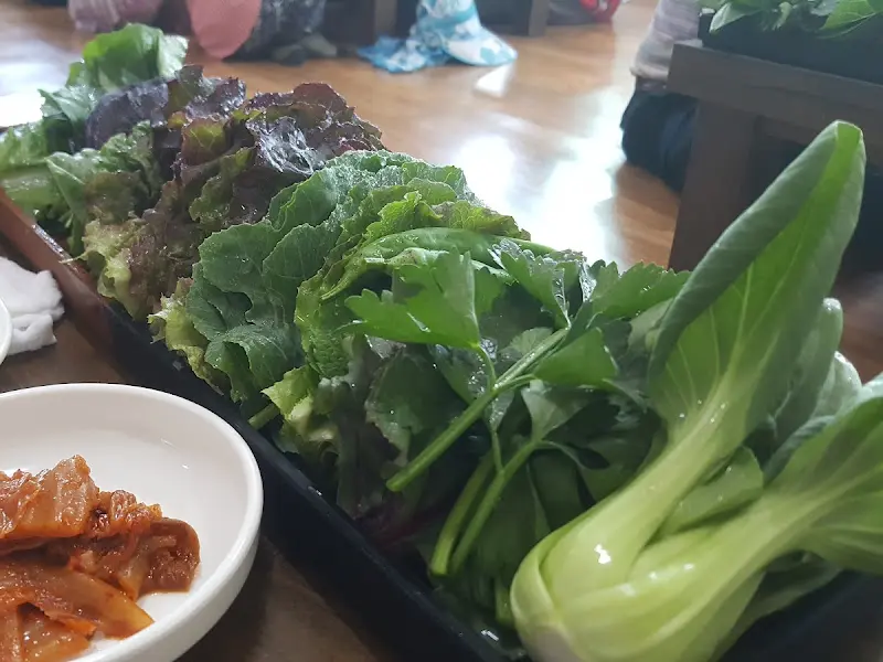 싱싱한 쌈 채소 모듬