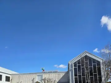 혼자만의 여유, 기흥에서 찾은 햇살 가득한 용인 힐링 베이커리 맛집