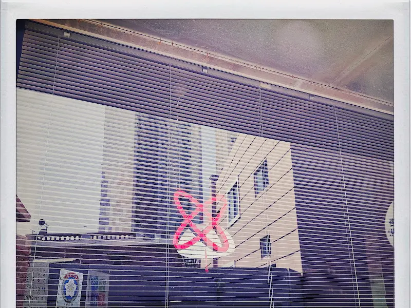 햇살이 은은하게 들어오는 창가 자리