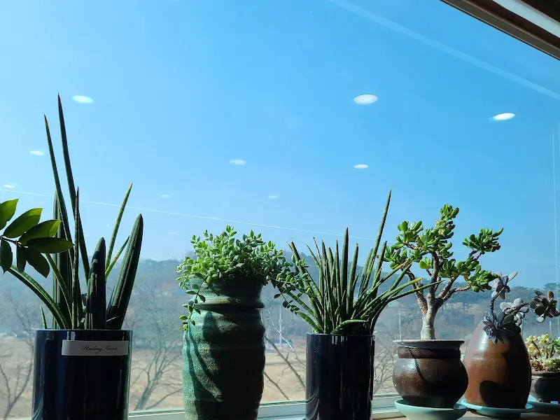 창밖으로 보이는 풍경