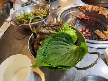 혼자 떠난 홍천 여행, 숨겨진 연탄 닭갈비 맛집 “달구새끼”에서 혼밥 성공!