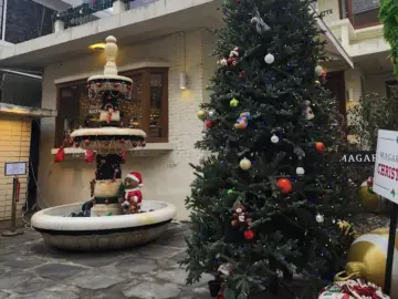 청주에서 크리스마스 분위기에 흠뻑 취하는 양식 맛집 나들이