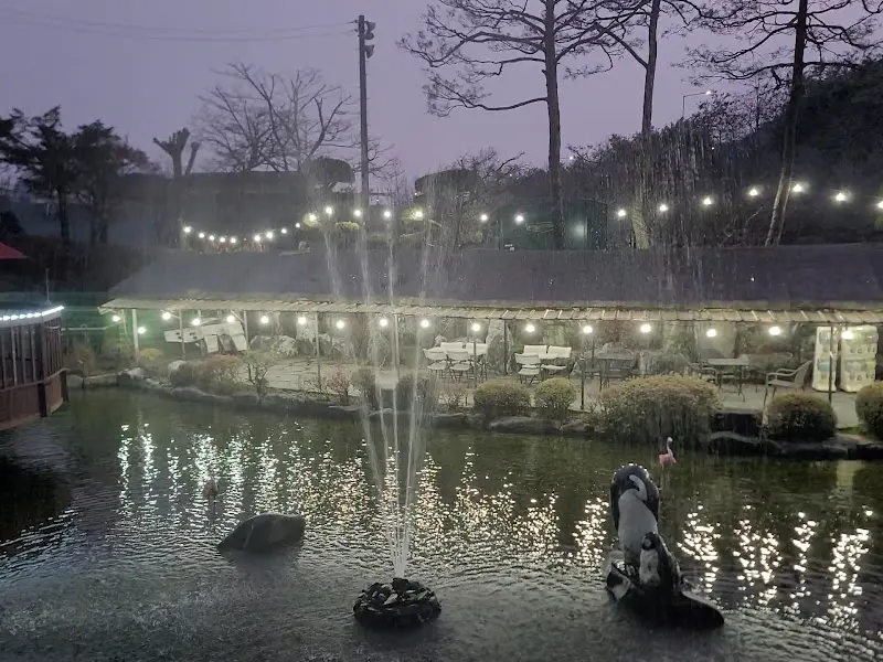 밤에 조명이 켜진 연못의 모습