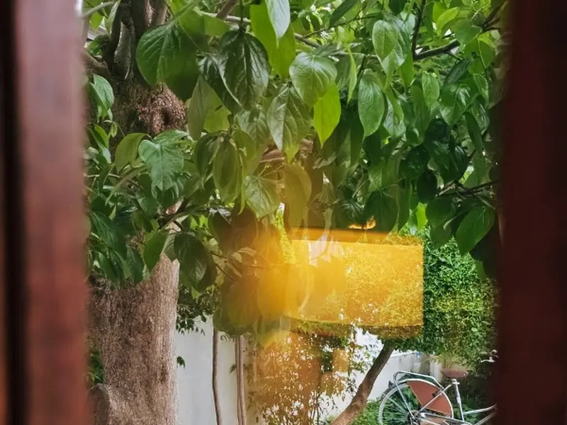 창밖으로 보이는 푸르른 나뭇잎 풍경