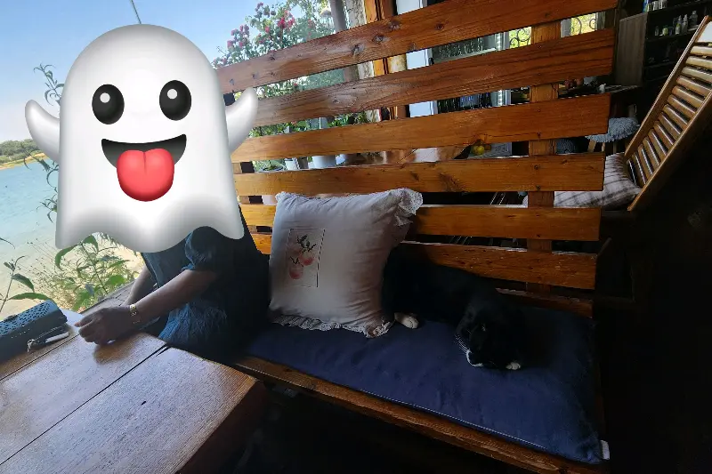 낮잠 자는 고양이