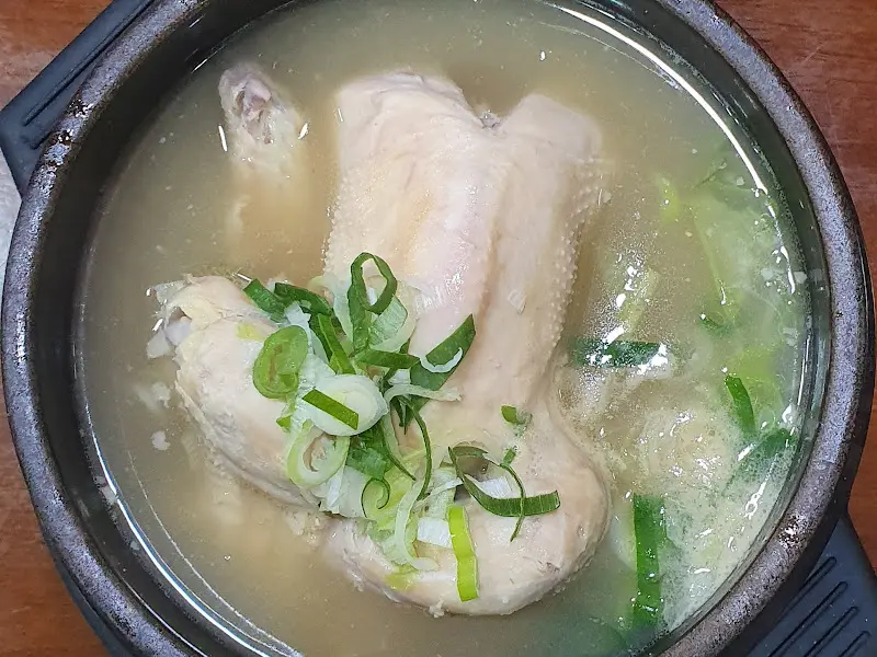 신촌 영양센터 삼계탕