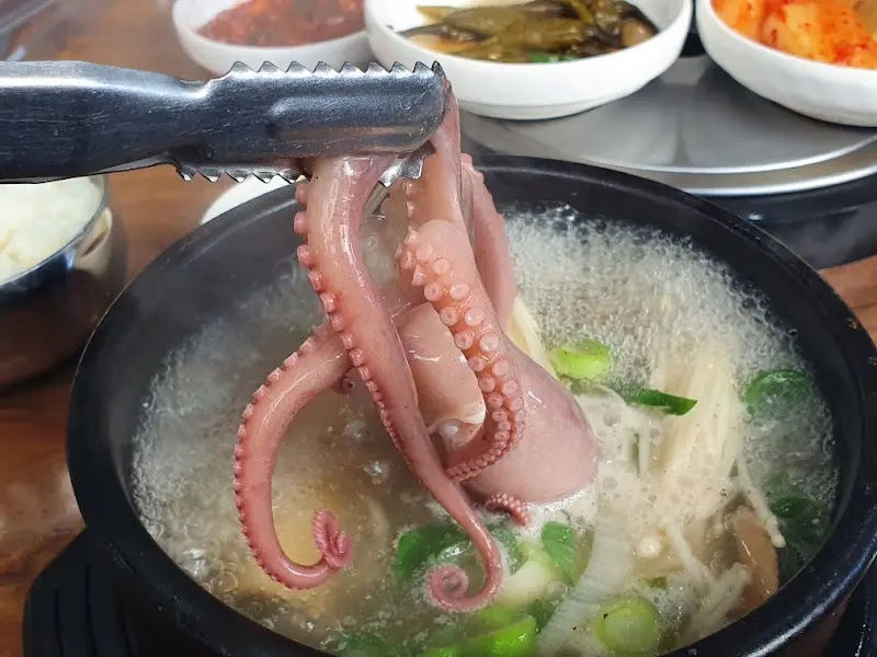 집게로 들어올린 낙지