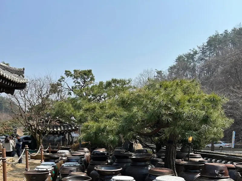 장독대가 늘어선 풍경