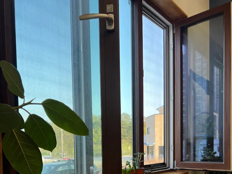 봄베이키친 창가 식물