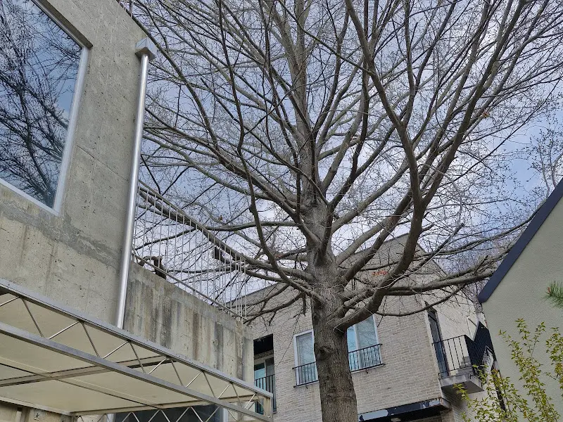 카페 옆 산책로 풍경