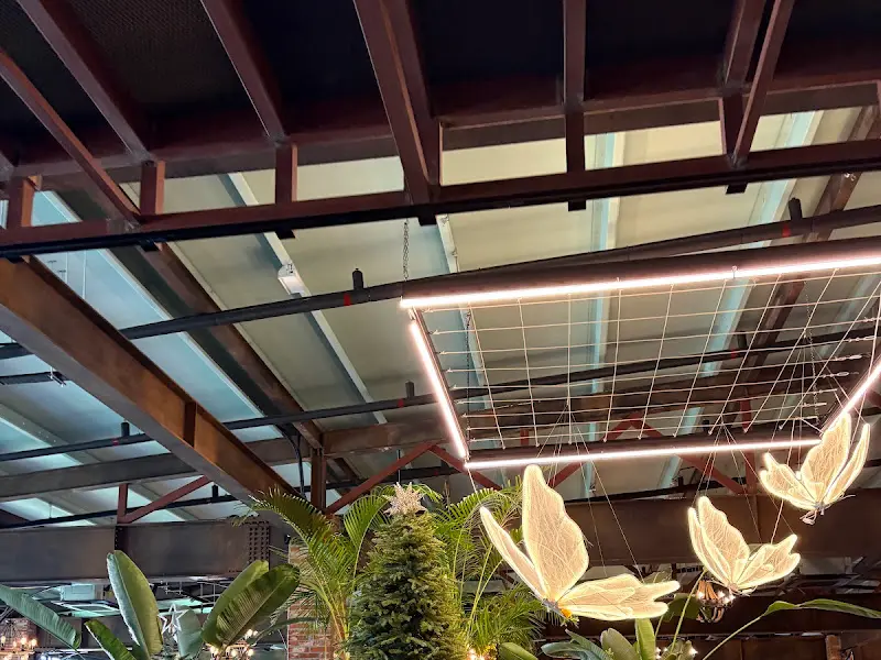 천장에 장식된 조명