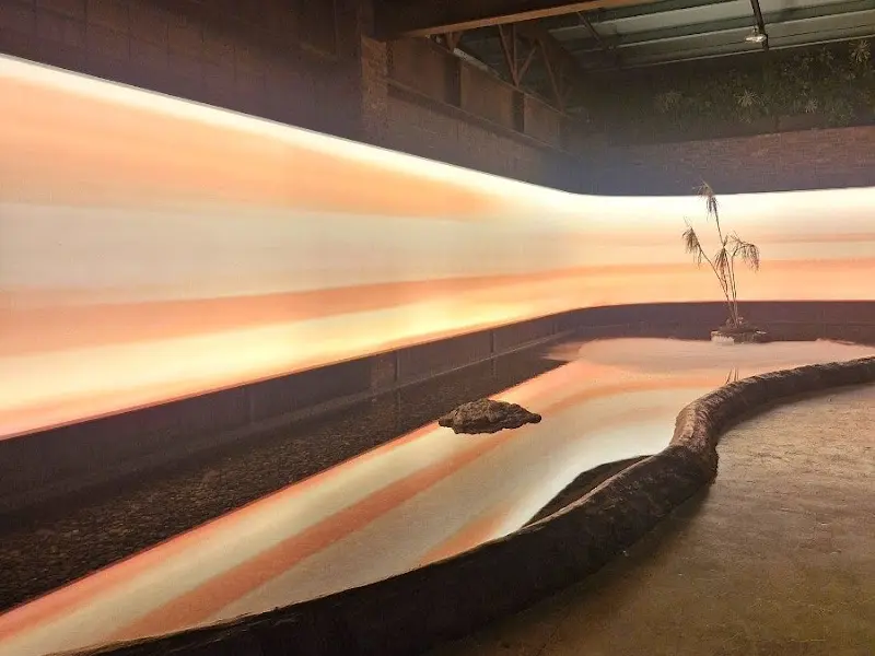 바리루스 내부의 미디어 아트