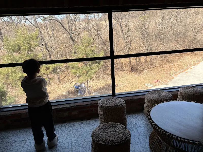 통창으로 보이는 바깥 풍경