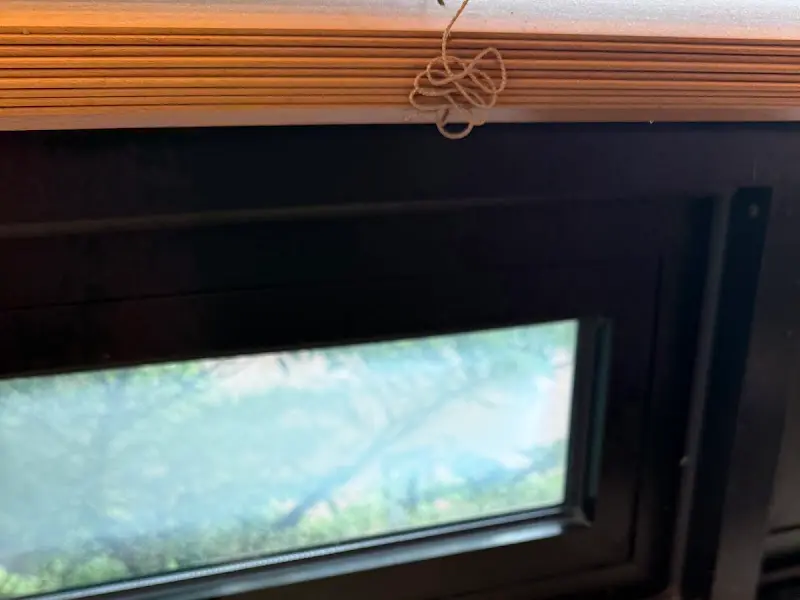 창밖으로 보이는 초록 풍경