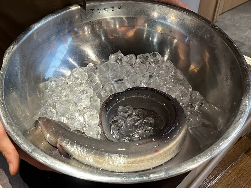 수족관 안의 살아있는 장어