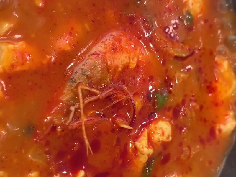 순두부 찌개