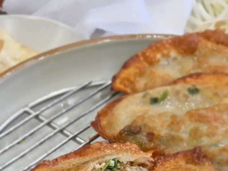 겉바속촉 튀김만두