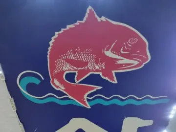 입안 가득 퍼지는 신선한 바다, 부산 삼삼횟집에서 맛보는 인생 회 맛집