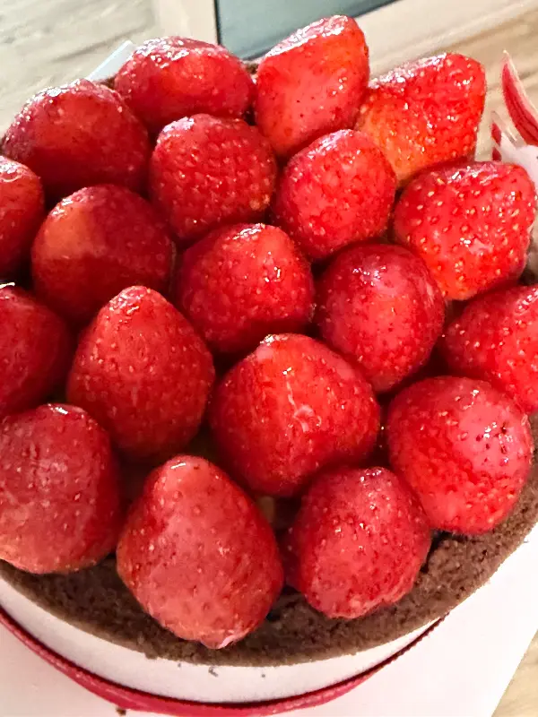 탐스러운 딸기가 가득한 스초생